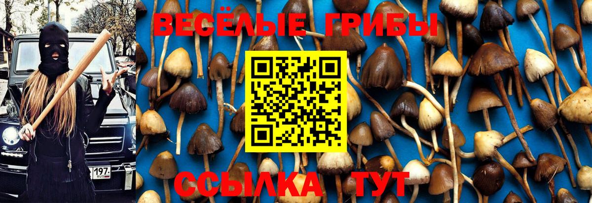 Галлюциногенные грибы прущие грибы Тобольск